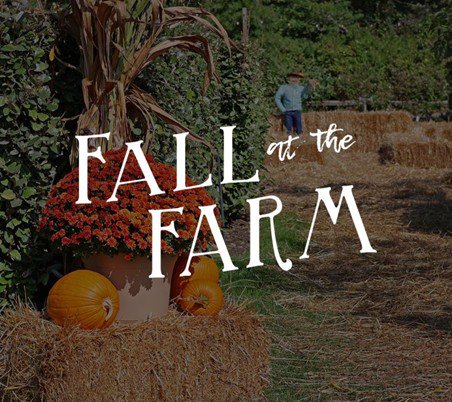 Fall at The Farm
