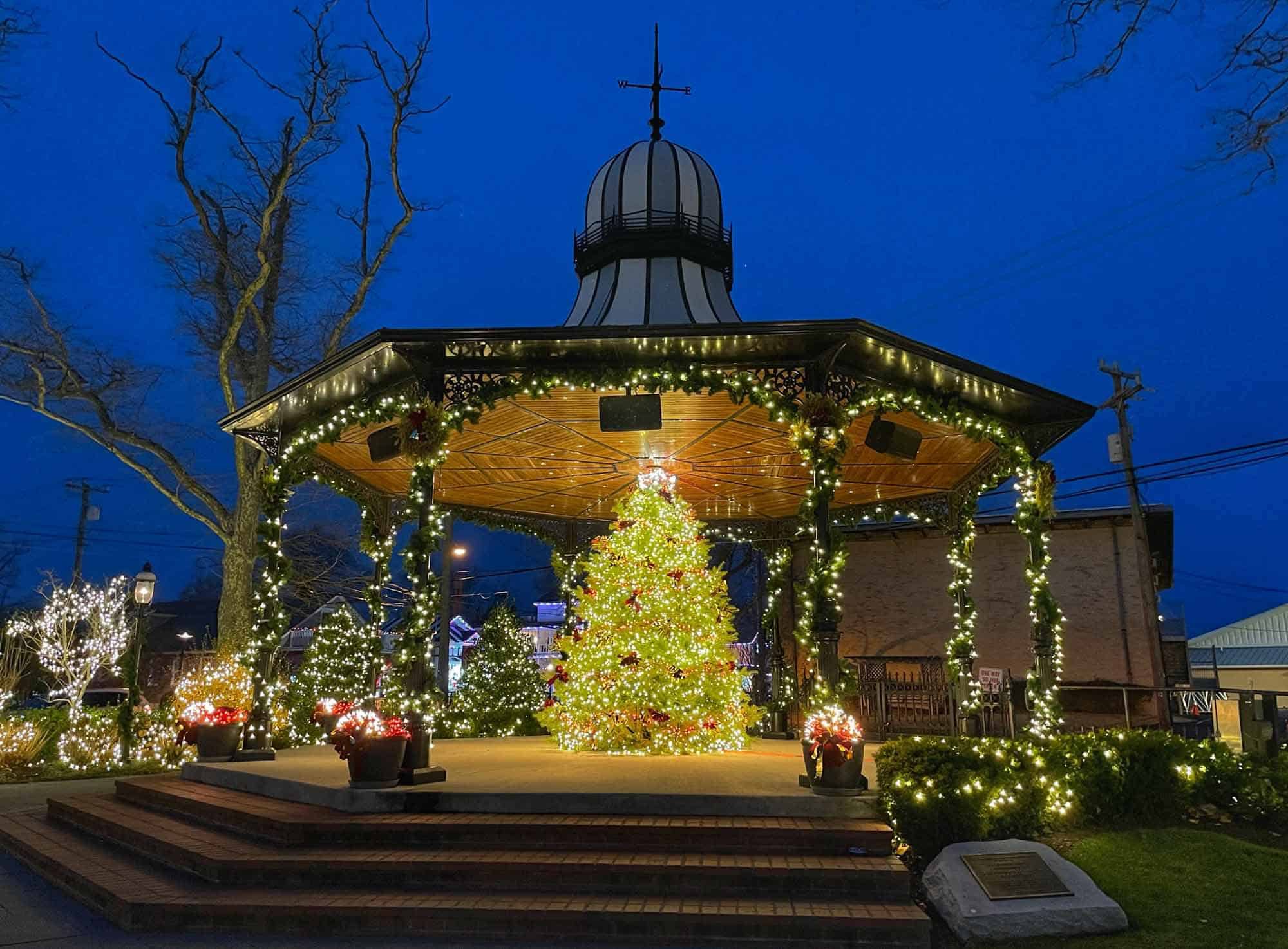 Christmas Tree Lighting at Rotary Park