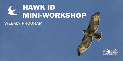 Hawk ID Mini-Workshop