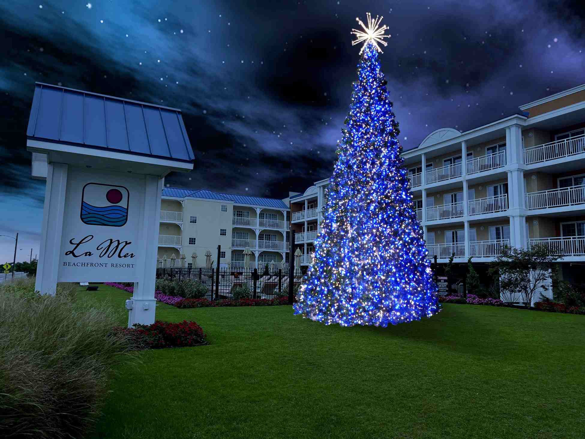 Christmas Tree Lighting Ceremony at La Mer Beachfront Resort